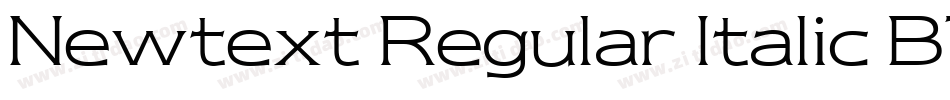 Newtext Regular Italic BT字体转换